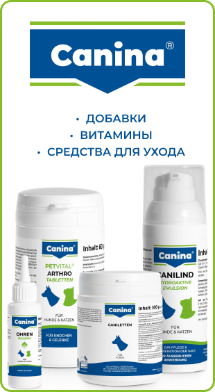 Канина_собаки