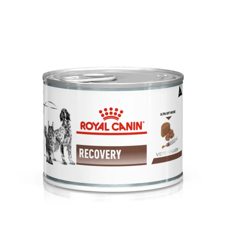 Royal Canin Recovery (мусс)