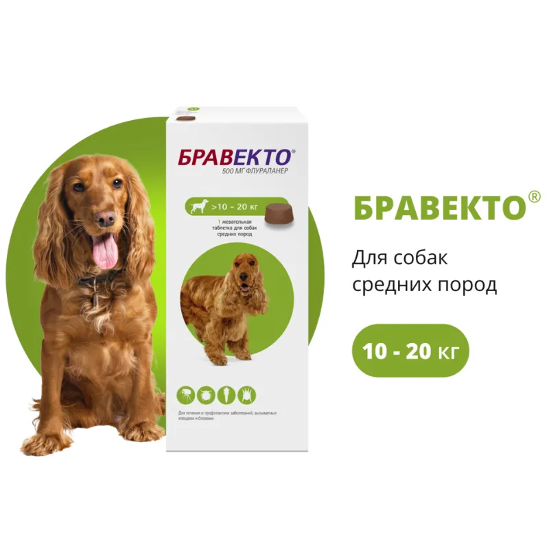 Bravecto от блох и клещей для собак