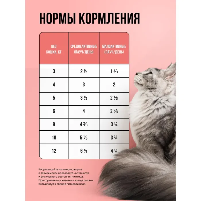 Bowl Wow Пауч кусочки в соусе с лососем и овощами для стерилизованных кошек (85 гр)