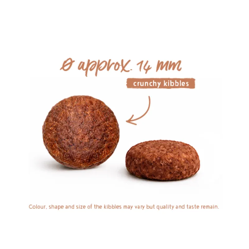Bosch MEAT MENUE Adult с индейкой и курицей