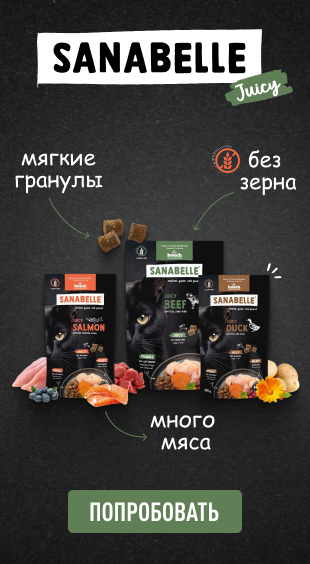 Санабель_Джуси