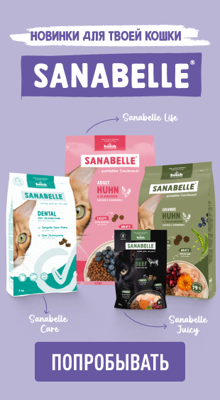 Санабель_новинка