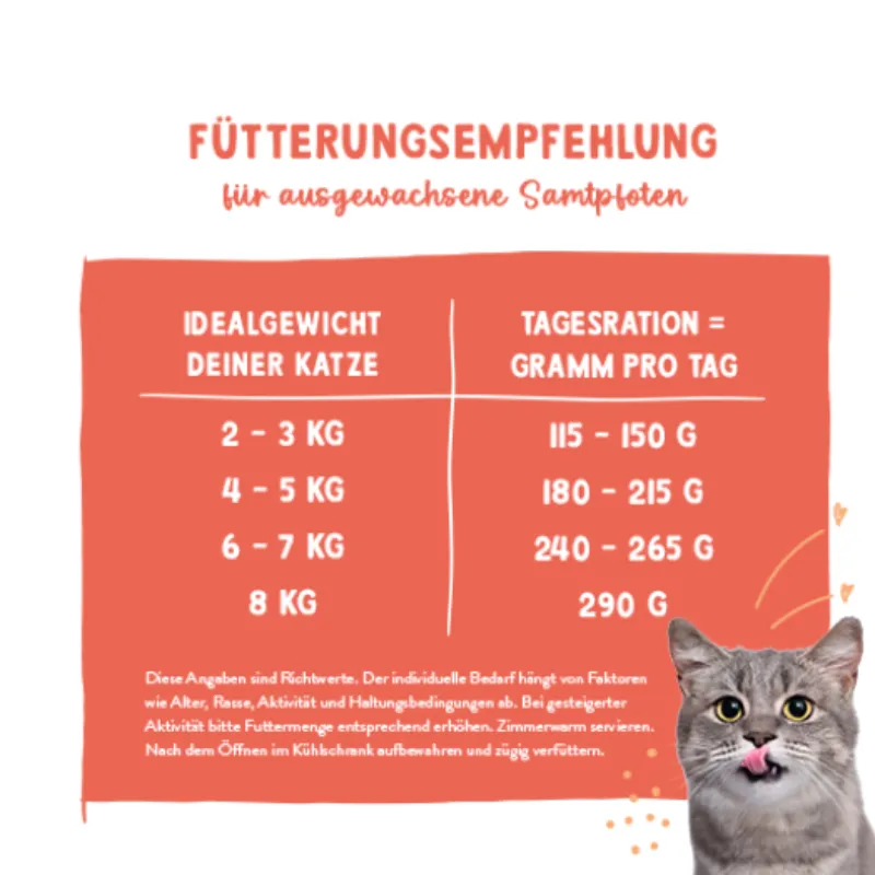 Санабелль Фреш Митце Индейка с Курицей